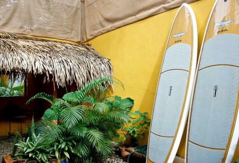 غرفة قياسية سرير بطابقين مزودة بحمام مشترك, Hostal San Pancho