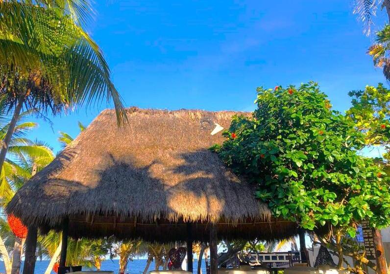 סטודיו סטנדרטי נוף לים, Alquimia Hotel Boutique