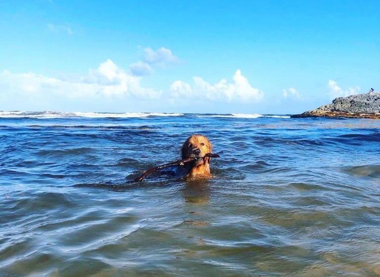 סטודיו סטנדרטי נוף לים, Alquimia Hotel Boutique