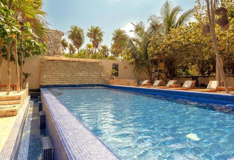 סוויטה, Alquimia Hotel Boutique