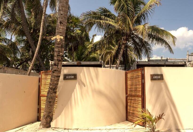 חדר סטנדרט, Alquimia Hotel Boutique