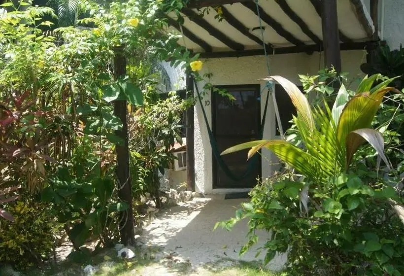 スタンダードルーム, Rancho Sakol