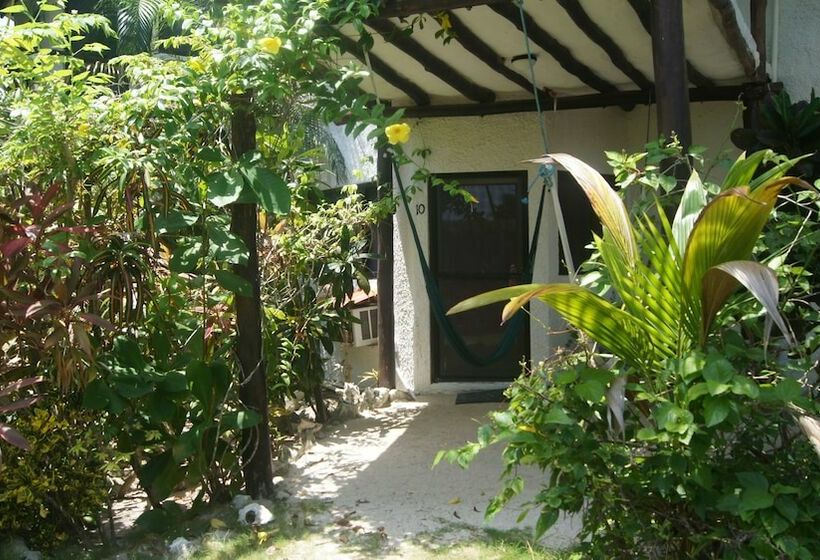 スタンダードルーム, Rancho Sakol