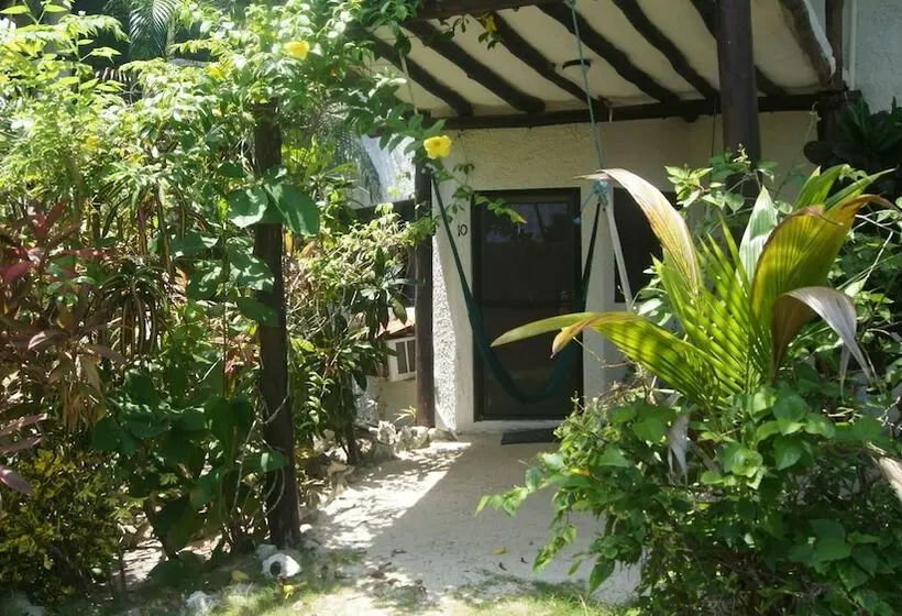 スタンダードルーム, Rancho Sakol