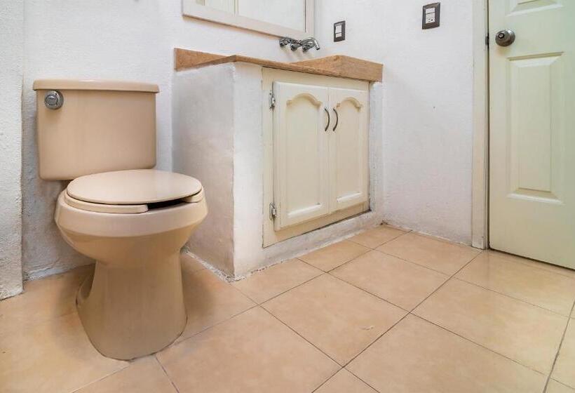 수피리어 룸, Collection O Hotel Mango,six Flags Hurricane Harbor Oaxtepec