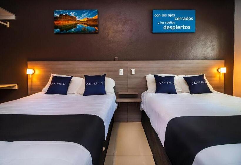 스위트, Collection O Hotel Mango,six Flags Hurricane Harbor Oaxtepec