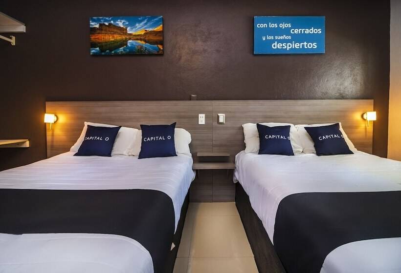 سوییت, Collection O Hotel Mango,six Flags Hurricane Harbor Oaxtepec