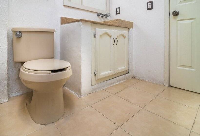 수피리어 룸, Collection O Hotel Mango,six Flags Hurricane Harbor Oaxtepec