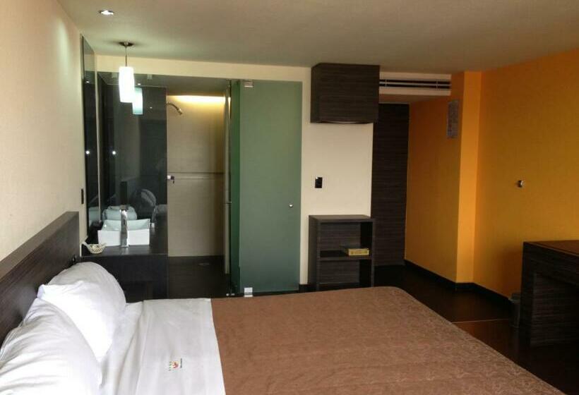 Büyük Çift Kişilik Yataklı Standart Oda, Amazonas