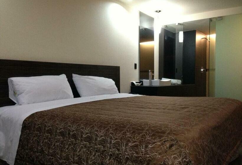 Büyük Çift Kişilik Yataklı Standart Oda, Amazonas