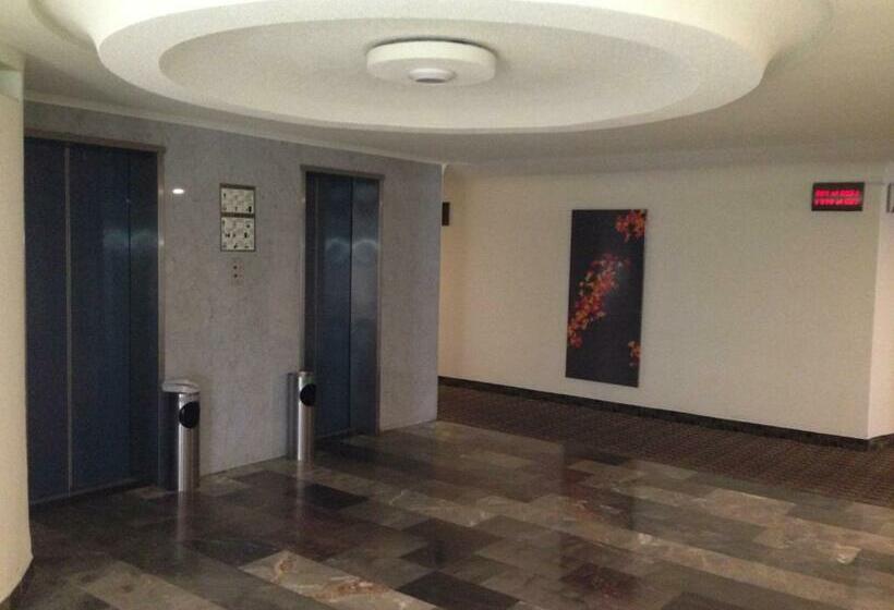 Büyük Çift Kişilik Yataklı Standart Oda, Amazonas