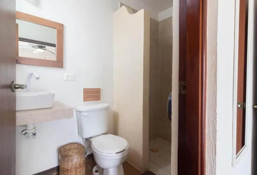 Superior-huone, Boutique Pachamama
