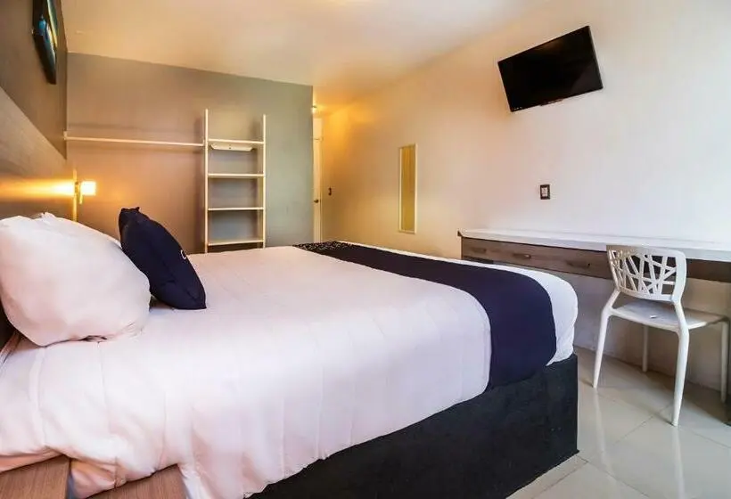 スーペリアールーム, Collection O Hotel Mango,six Flags Hurricane Harbor Oaxtepec
