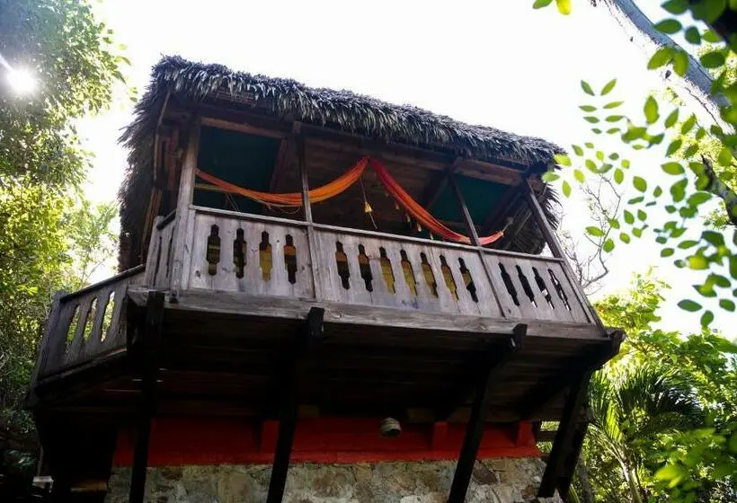 Standard-huone, El Copal