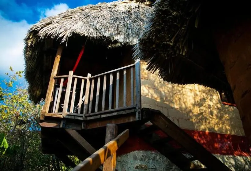 Standard-huone, El Copal