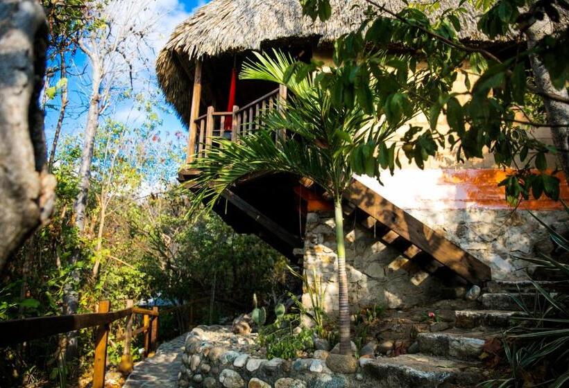スタンダードルーム, El Copal