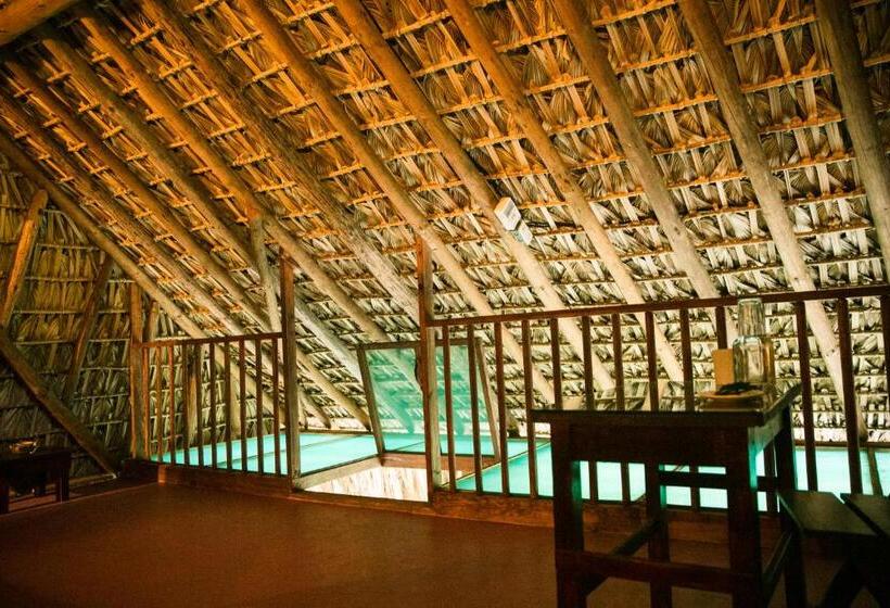 Четырехместный Номер Economy, El Copal