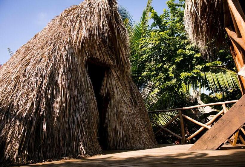 Номер Basic, El Copal