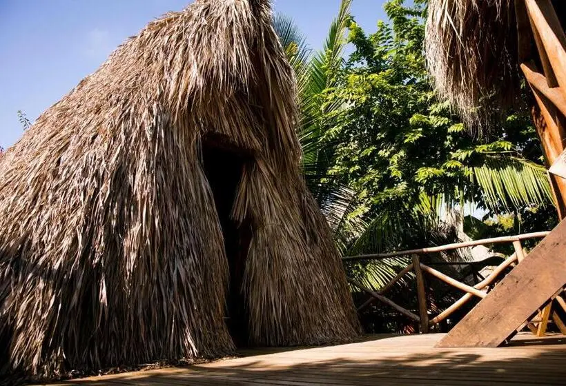 Basic-huone, El Copal