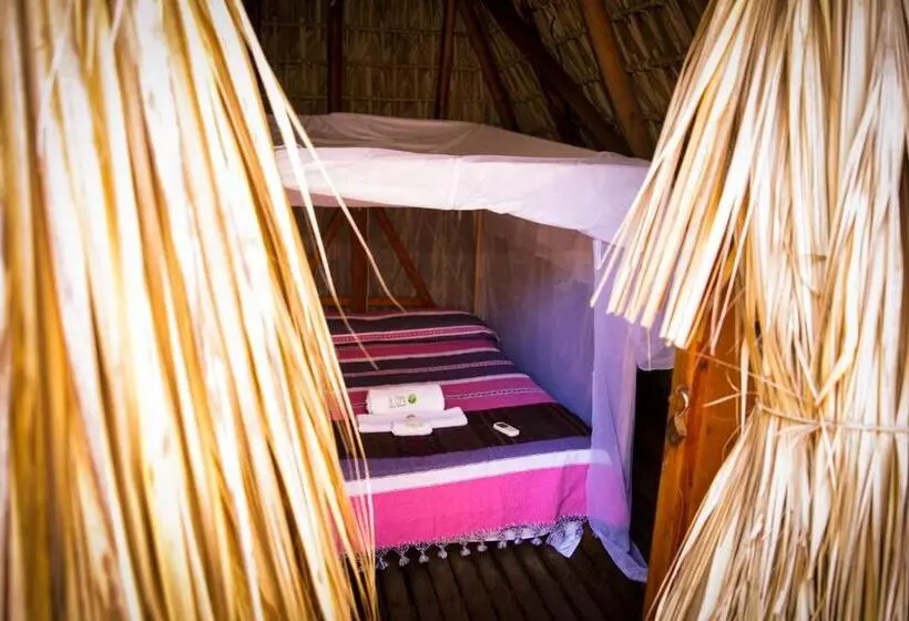 Basic-huone, El Copal