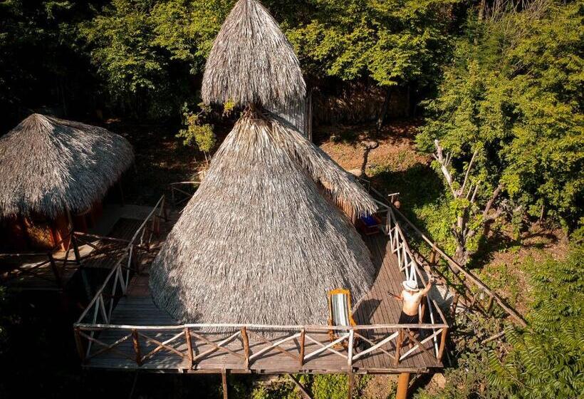 Номер Basic, El Copal