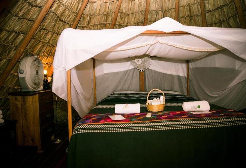 Четырехместный Номер Стандарт, El Copal