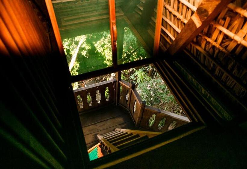 Четырехместный Номер Economy, El Copal