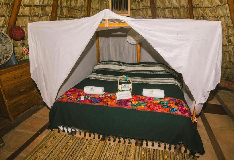 Четырехместный Номер Стандарт, El Copal