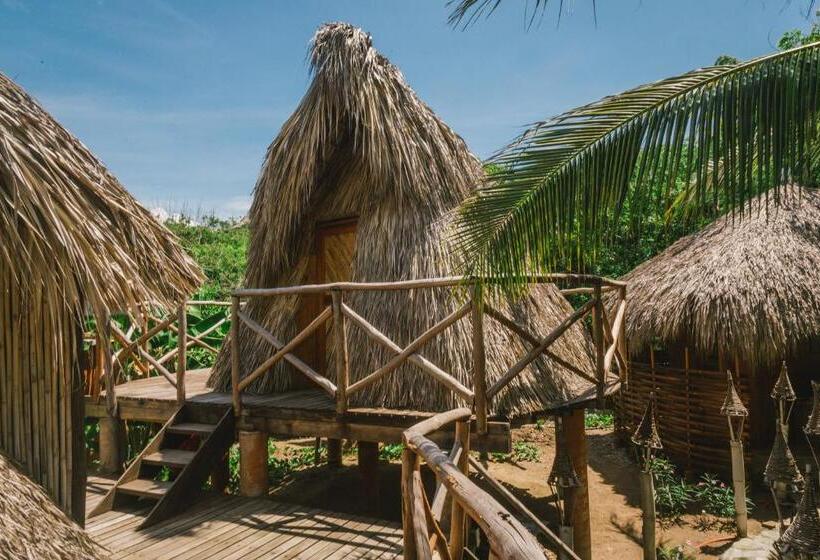 Четырехместный Номер Стандарт, El Copal