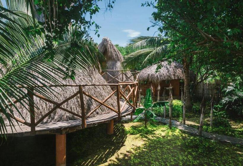 Четырехместный Номер Стандарт, El Copal