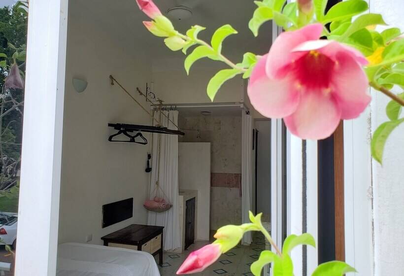 Номер Стандарт Вид на Парк, La Piazzetta