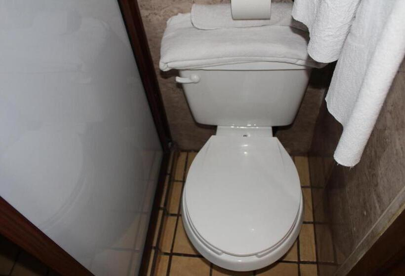 غرفة ديلوكس, La Vieja Casona