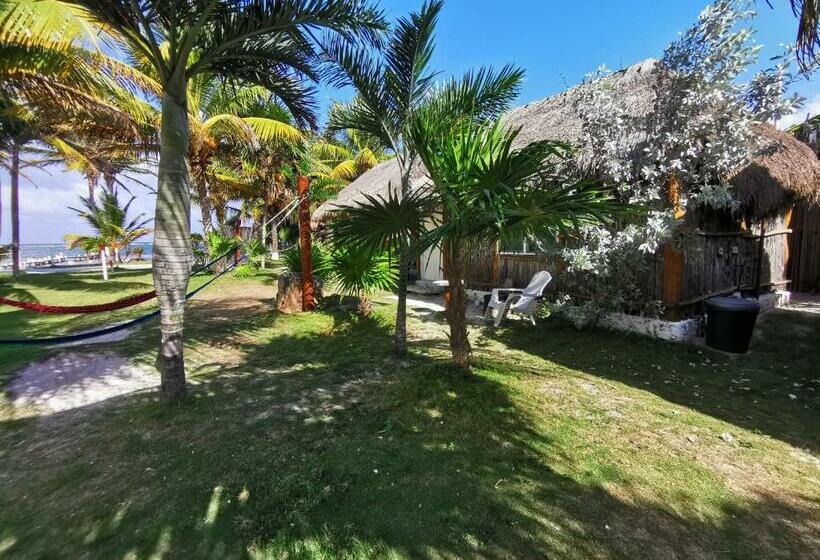 스탠다드 방갈로, Las Cabañas Del Doctor