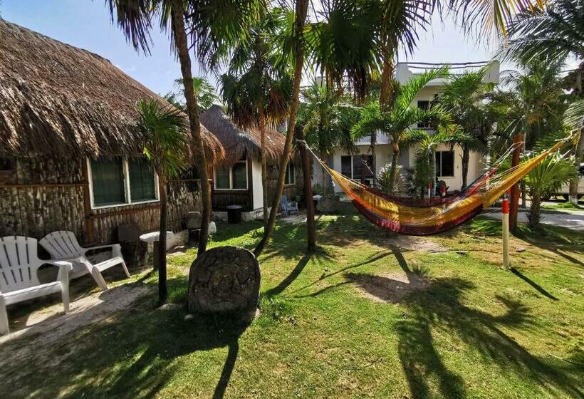 بنجلو قياسى, Las Cabañas Del Doctor