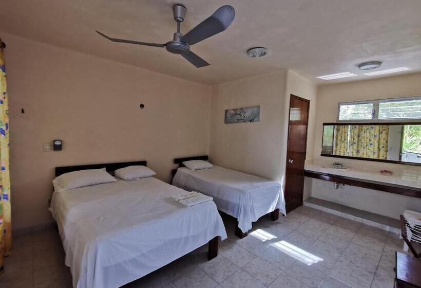 이코노미 룸, Las Cabañas Del Doctor