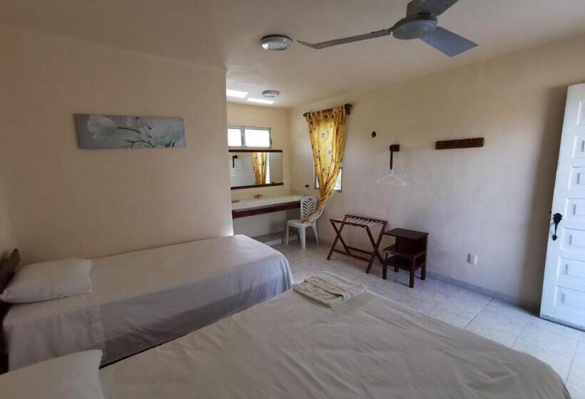 이코노미 룸, Las Cabañas Del Doctor