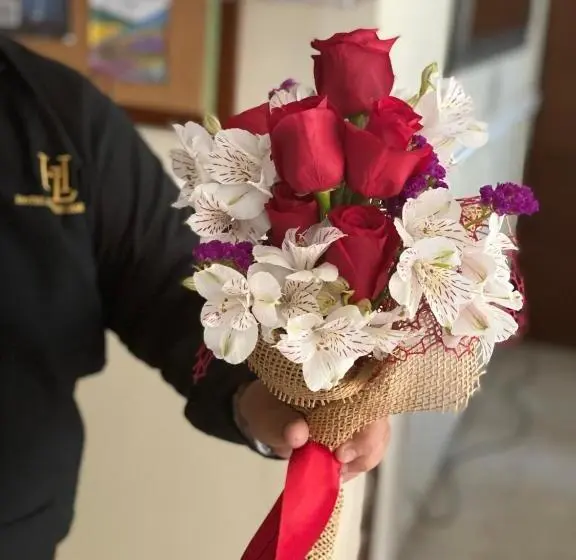 اتاق استاندارد, Lopez Campeche