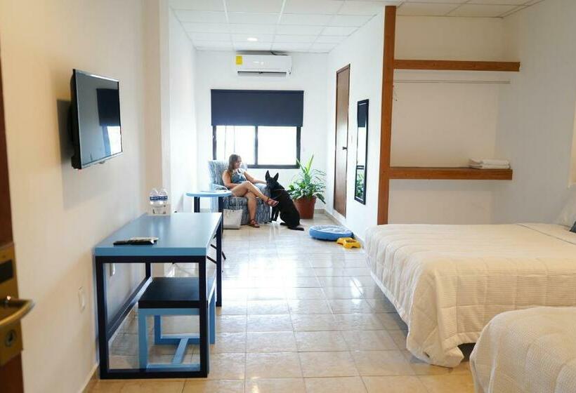 スタンダードルーム, & Suites Arges  Centro Chetumal