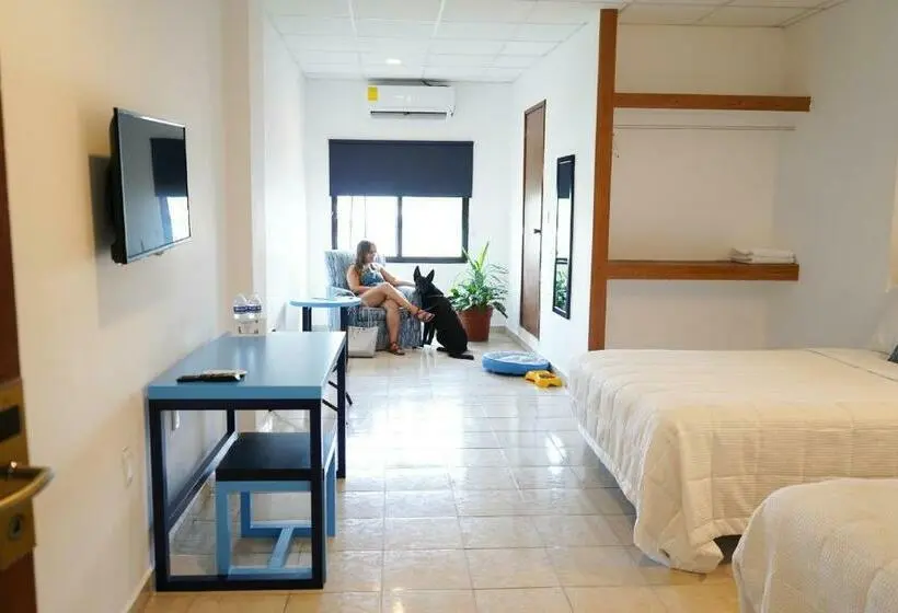اتاق استاندارد, & Suites Arges  Centro Chetumal