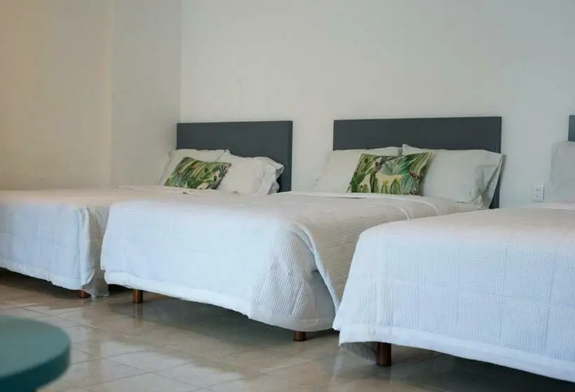 اتاق خانوادگی, & Suites Arges  Centro Chetumal
