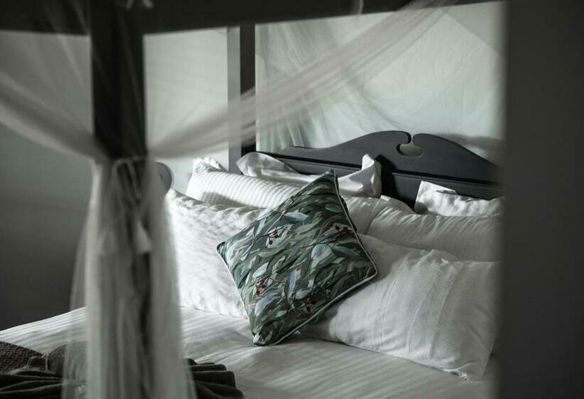 Люкс Superior, The Bearded Dragon Boutique