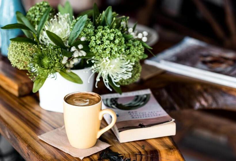 Четырехместный Номер Стандарт, The Bearded Dragon Boutique