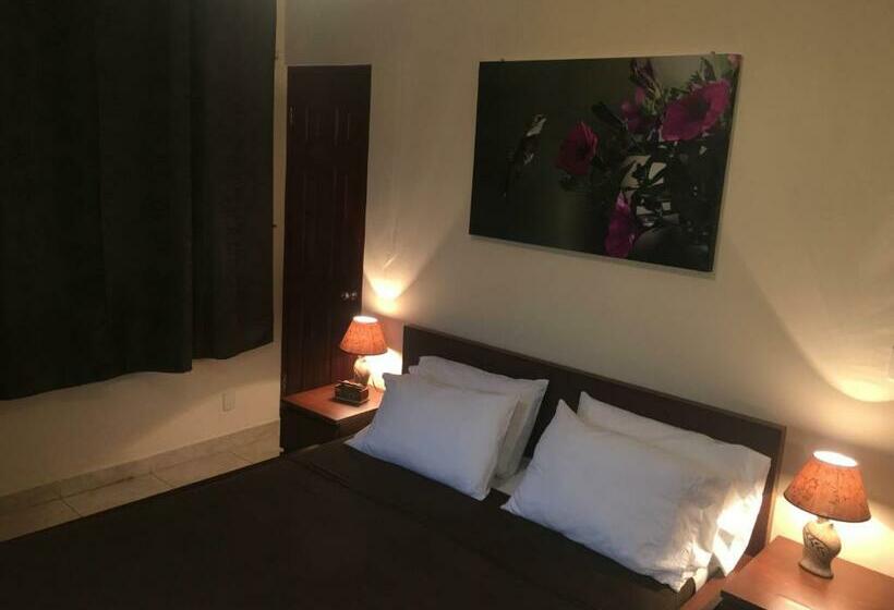 Номер Стандарт, The Balboa Inn