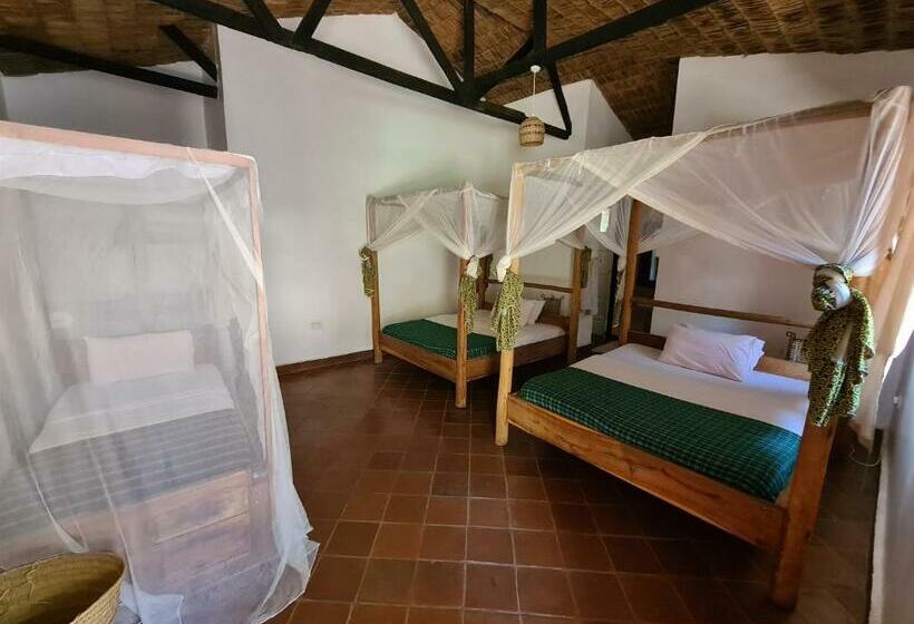 اتاق استاندارد سه نفره, Honey Badger Lodge