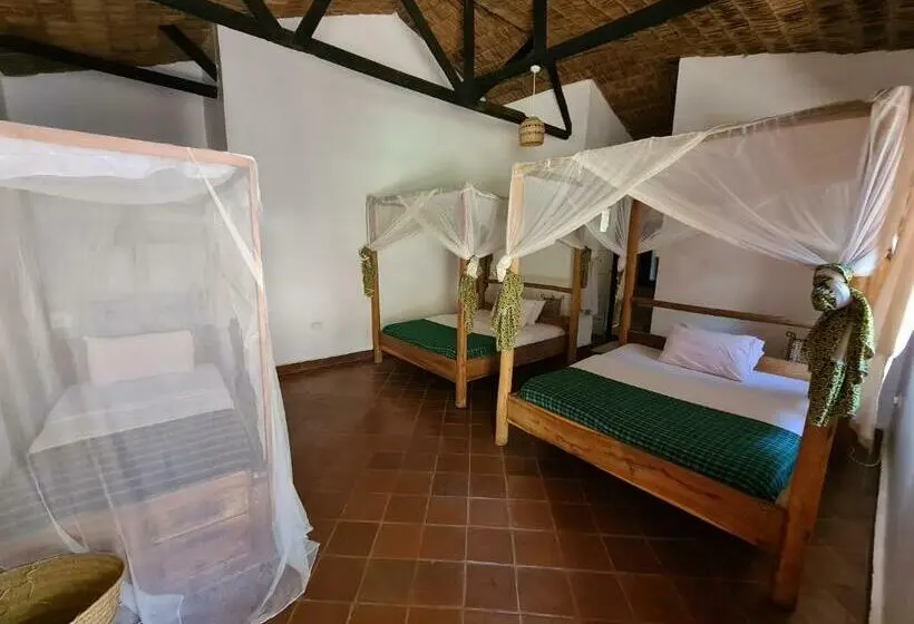 اتاق استاندارد سه نفره, Honey Badger Lodge