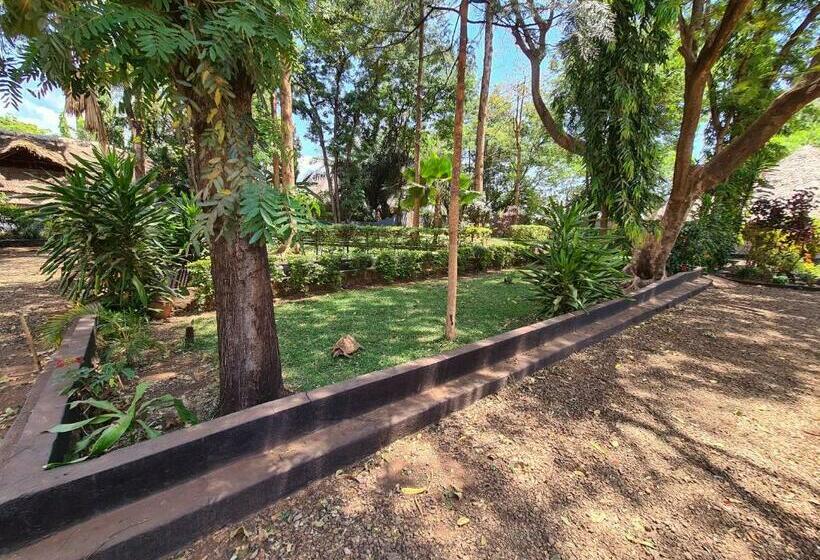 اتاق لوکس, Honey Badger Lodge