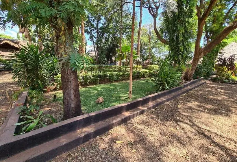 اتاق لوکس, Honey Badger Lodge