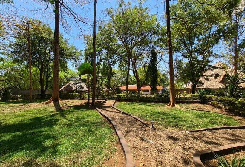 اتاق لوکس, Honey Badger Lodge