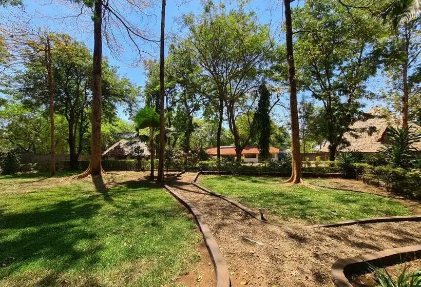 اتاق لوکس, Honey Badger Lodge