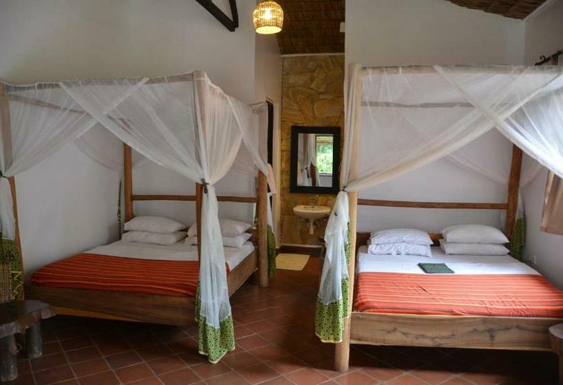 اتاق استاندارد, Honey Badger Lodge